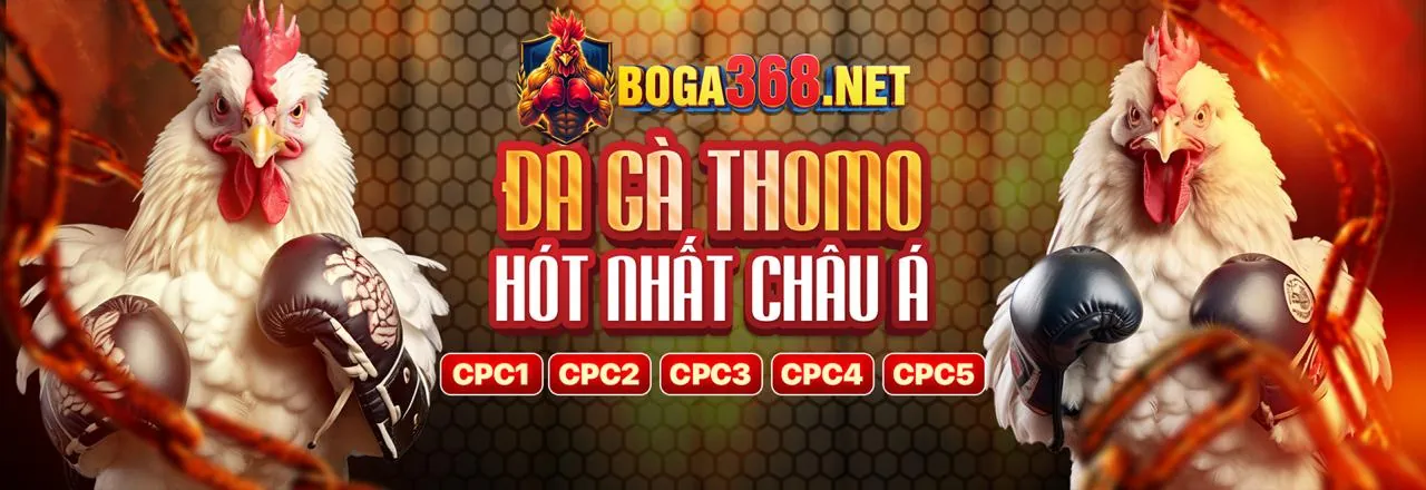 Đá gà trực tuyến sôi động tại hi88